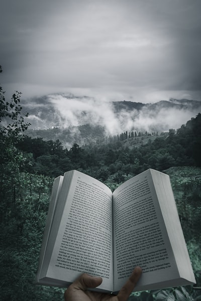 Book cover